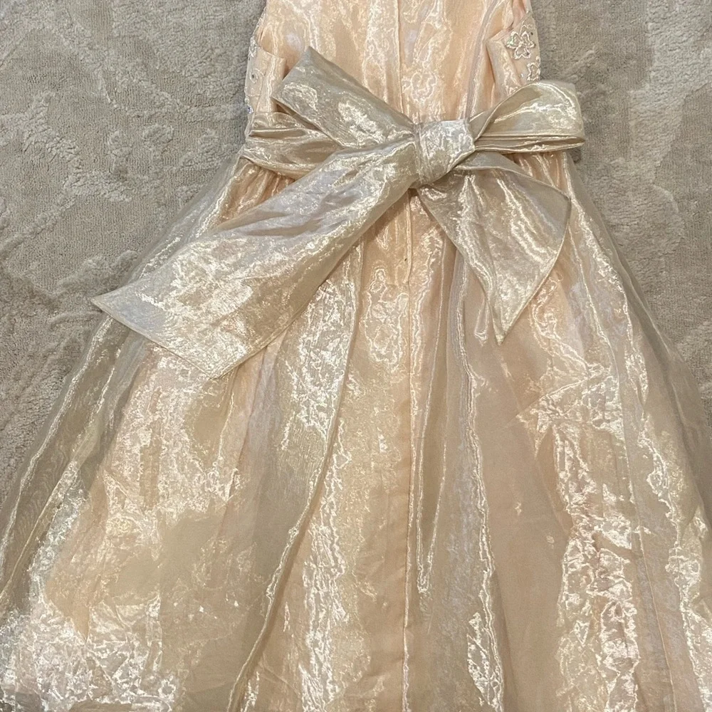 Jessica McClintocktock size 3 girls formal dress!!! - Picture 4 of 8